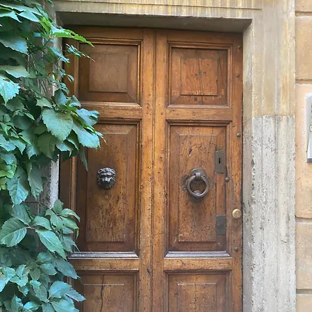 Harmony In Ll 公寓 罗马